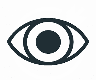 vision